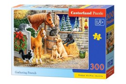 Puzzle 300 el. Gathering Friends Castorland B-030255