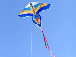 Latawiec kolorowy lekki Papuga Ara ptak | ZA4414